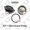 KIT Revisione 1 (ese44) - FROG